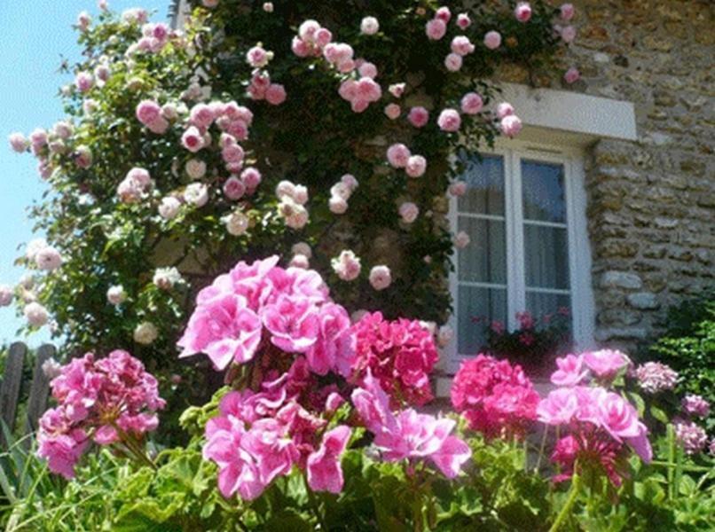Chambres D'Hotes La Pocterie Vouneuil-sur-Vienne Εξωτερικό φωτογραφία